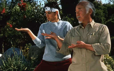 IL SEGRETO DEL MAESTRO MIYAGI